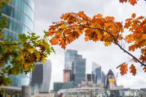 Understanding the UK Multiple Entry Visa 180 Days Rule for Type C ...